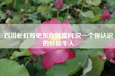 四川长虹股吧东方财富网,说一个你认识的炒股牛人