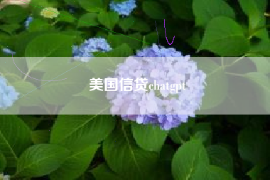 美国信贷chatgpt