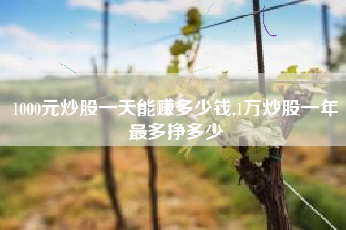 1000元炒股一天能赚多少钱,1万炒股一年最多挣多少
