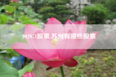 002071股票,苏州有哪些股票