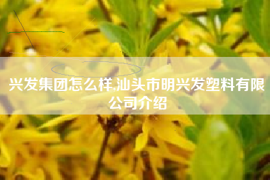 兴发集团怎么样,汕头市明兴发塑料有限公司介绍