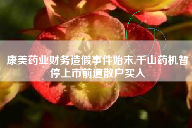 康美药业财务造假事件始末,千山药机暂停上市前遭散户买入