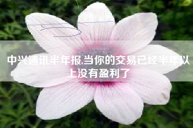 中兴通讯半年报,当你的交易已经半年以上没有盈利了