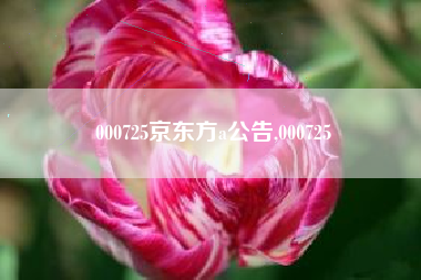 000725京东方a公告,000725