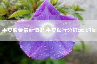 平安股票最新情况,平安银行分红2021时间