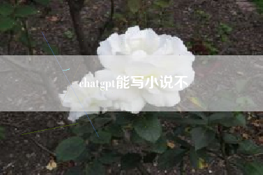 chatgpt能写小说不