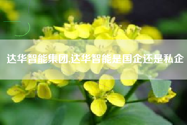 达华智能集团,达华智能是国企还是私企