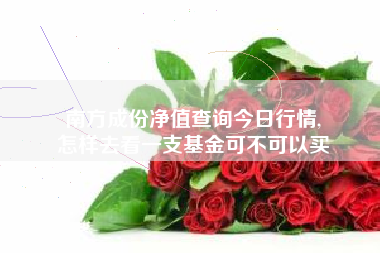 南方成份净值查询今日行情,
怎样去看一支基金可不可以买 南方成份净值查询今日行情,
怎样去看一支基金可不可以买