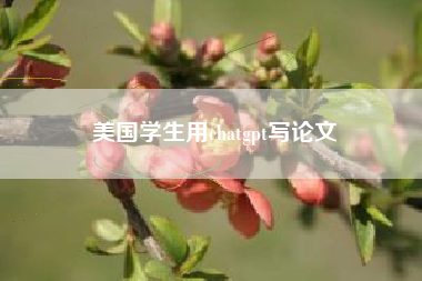美国学生用chatgpt写论文