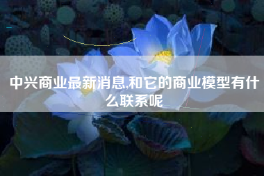 中兴商业最新消息,和它的商业模型有什么联系呢