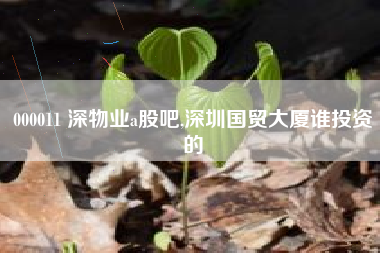 000011 深物业a股吧,深圳国贸大厦谁投资的