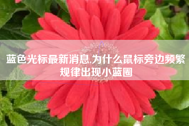 蓝色光标最新消息,为什么鼠标旁边频繁规律出现小蓝圈