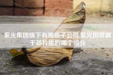 紫光集团旗下有哪些子公司,紫光国微属于芯片类的哪个细分