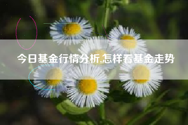 今日基金行情分析,怎样看基金走势