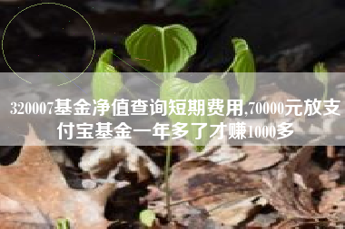 320007基金净值查询短期费用,70000元放支付宝基金一年多了才赚1000多
