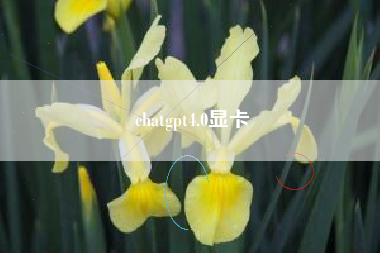 chatgpt4.0显卡