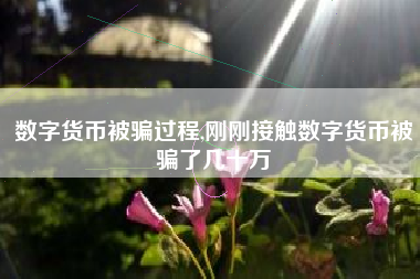 数字货币被骗过程,刚刚接触数字货币被骗了几十万