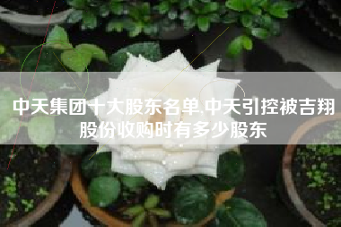 中天集团十大股东名单,中天引控被吉翔股份收购时有多少股东