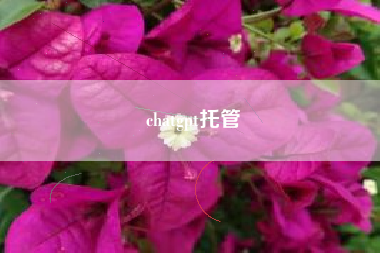 chatgpt托管