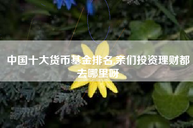 中国十大货币基金排名,亲们投资理财都去哪里呀