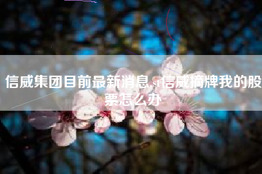 信威集团目前最新消息,st信威摘牌我的股票怎么办