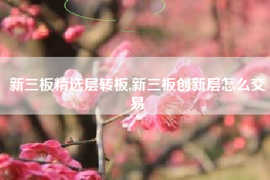 新三板精选层转板,新三板创新层怎么交易