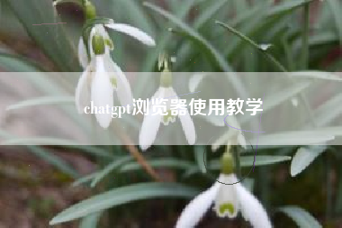 chatgpt浏览器使用教学