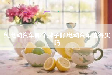 纯电动汽车哪个牌子好,电动汽车值得买吗