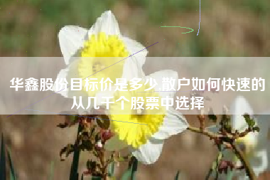 华鑫股份目标价是多少,散户如何快速的从几千个股票中选择