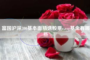 富国沪深300基本面精选股票c,esg基金有哪些