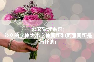 公文管理系统(
公文的字体大小字体间距和页面间距是怎样的) 公文管理系统(
公文的字体大小字体间距和页面间距是怎样的)