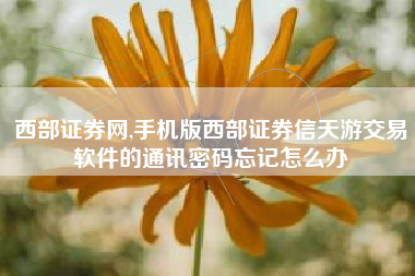 西部证券网,手机版西部证券信天游交易软件的通讯密码忘记怎么办