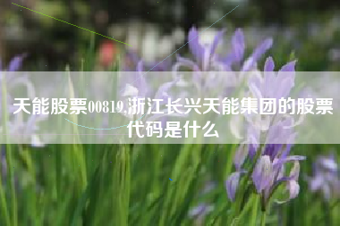 天能股票00819,浙江长兴天能集团的股票代码是什么