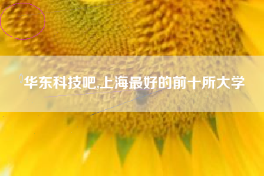 华东科技吧,上海最好的前十所大学