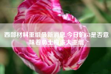 西部材料重组最新消息,今日的G3是否意味着勇士应该大重组