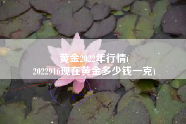 黄金2022年行情(
2022916现在黄金多少钱一克) 黄金2022年行情(
2022916现在黄金多少钱一克)