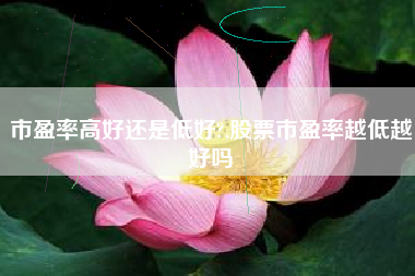 市盈率高好还是低好?,股票市盈率越低越好吗