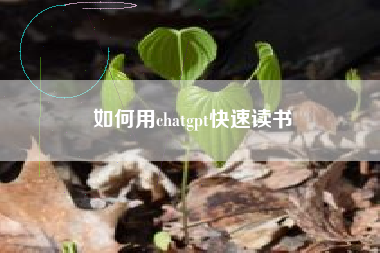 如何用chatgpt快速读书