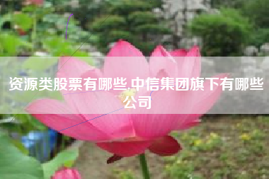 资源类股票有哪些,中信集团旗下有哪些公司