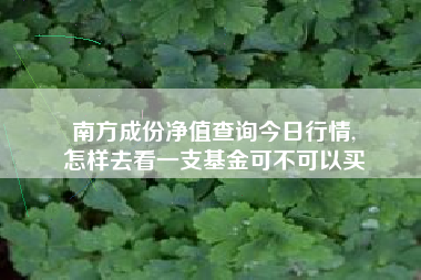 南方成份净值查询今日行情,
怎样去看一支基金可不可以买 南方成份净值查询今日行情,
怎样去看一支基金可不可以买