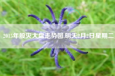 2015年股灾大盘走势图,明天2月2日星期二
