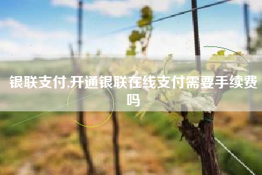 银联支付,开通银联在线支付需要手续费吗