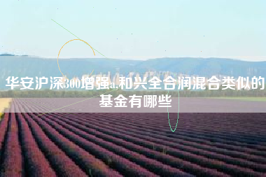 华安沪深300增强a,和兴全合润混合类似的基金有哪些