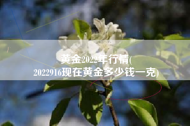 黄金2022年行情(
2022916现在黄金多少钱一克) 黄金2022年行情(
2022916现在黄金多少钱一克)