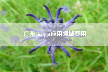 广东chatgpt应用领域费用