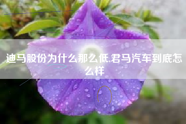 迪马股份为什么那么低,君马汽车到底怎么样