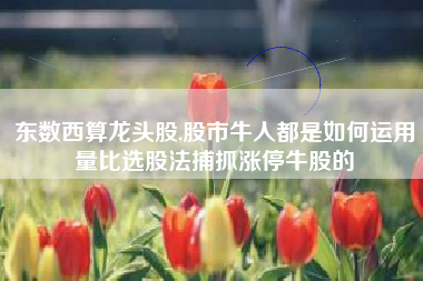 东数西算龙头股,股市牛人都是如何运用量比选股法捕抓涨停牛股的
