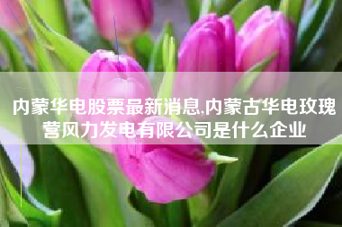 内蒙华电股票最新消息,内蒙古华电玫瑰营风力发电有限公司是什么企业