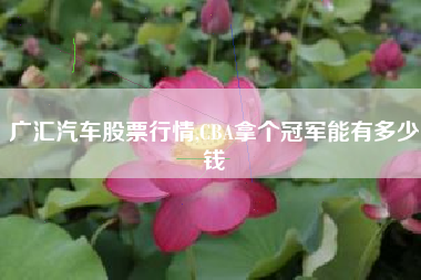 广汇汽车股票行情,CBA拿个冠军能有多少钱