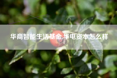 华商智能生活基金,华电资本怎么样